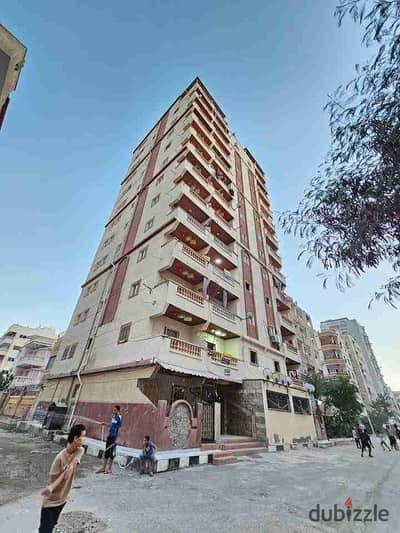 شقه في الإسكندرية شاطئ النخيل تشطيب التـــــــــــرا لوكس موقع سكني ممتاز شامل الخدمات