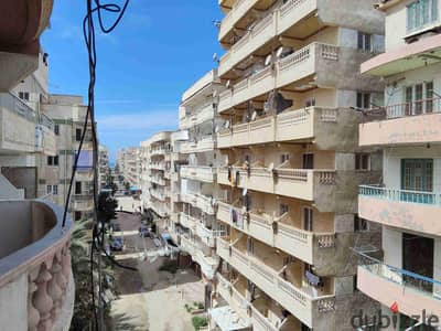 Apartment in Alexandria, Palm Beach, luxury finishing, excellent residential location, including services