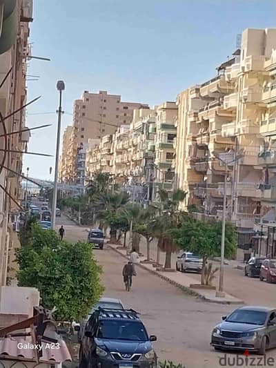 شقه في الإسكندرية شاطئ النخيل بجوار الخدمات تصلح للسكن والاستثمار الجيد موقع ممتاز جدا شامل الخدمات