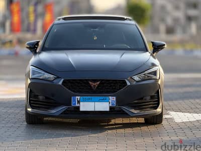 كوبرا ليون 2024