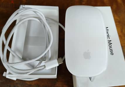 Apple Magic Mouse