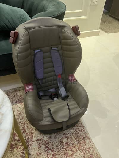 كارسيت