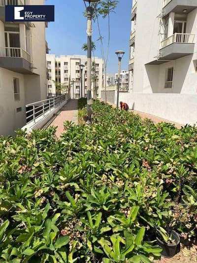 Apartment for Sale in Jayd New Cairo In Prime Location by Installments Apartment for Sale in Jayd New Cairo In Prime Location by Installments