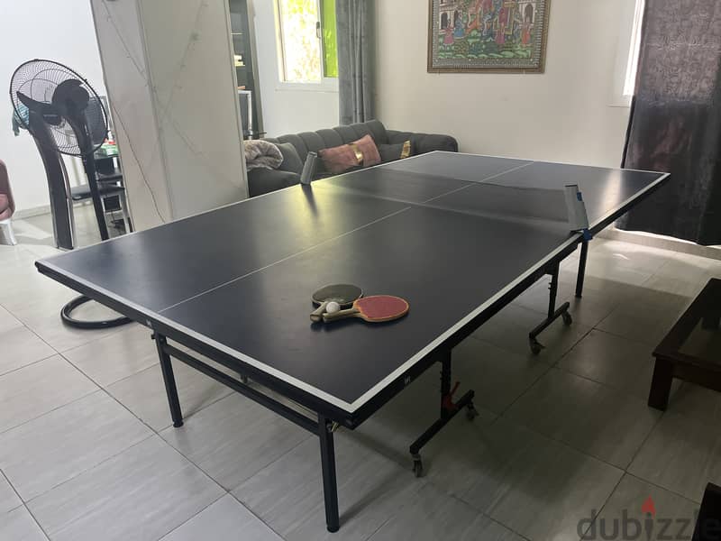 Ping pong table 1