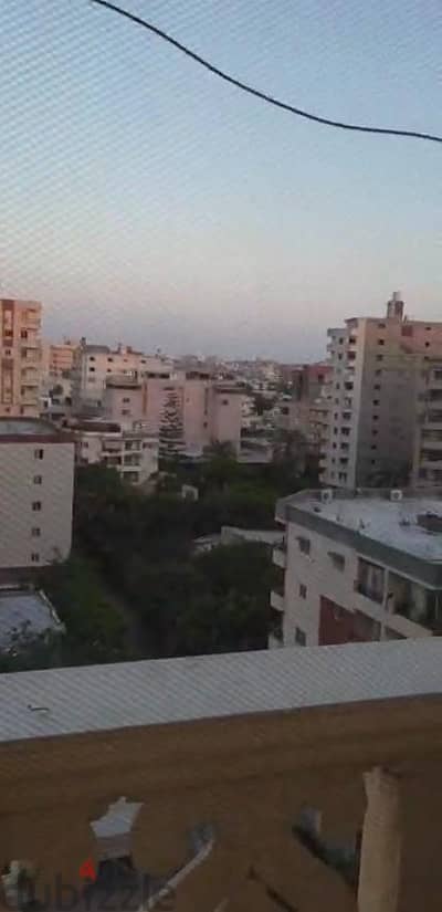 شقه بيانكى