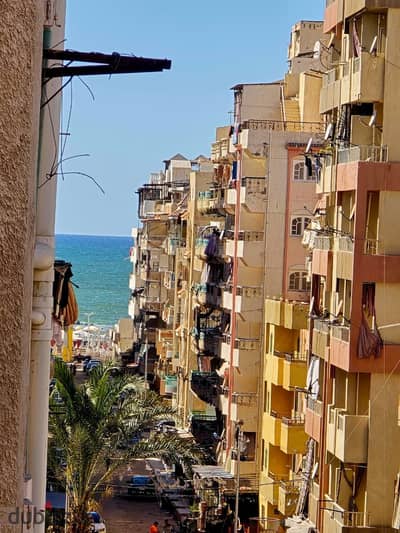 روف دبلكس دورين بالإسكندرية العجمي شطي النخيل ٦اكتوبر الكيلو ٢١