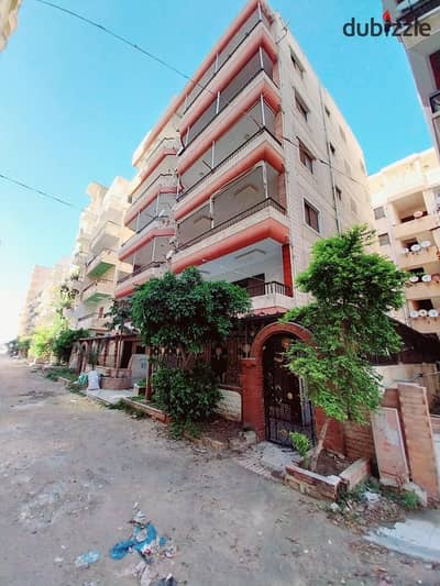 شقه مميزه للبيع بالإسكندرية العجمي شطي النخيل ٦اكتوبر الكيلو ٢١