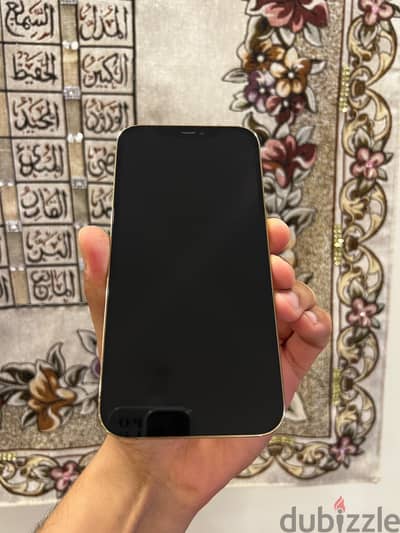 Apple - iPhone 12 Pro Max