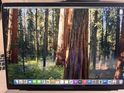 MacBook Pro 16-inch (2019)
