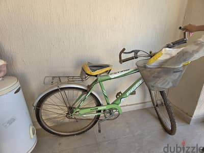 pigeon original bicycle 24 inch