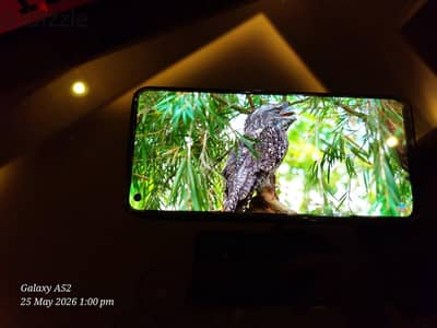 Realme 11