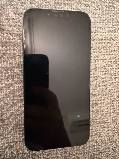Apple - iPhone 13
