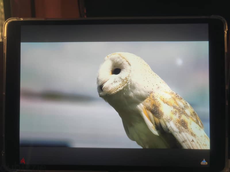 ipad pro 10.5 4