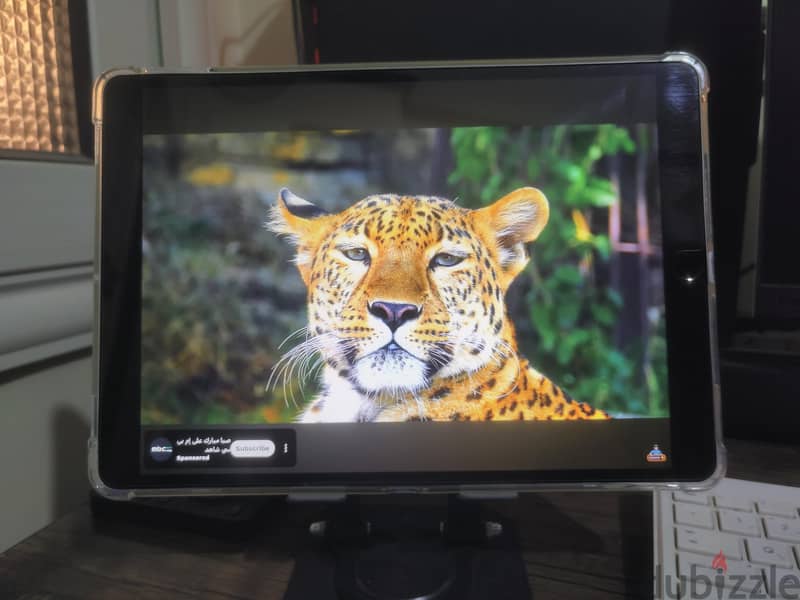 ipad pro 10.5 7
