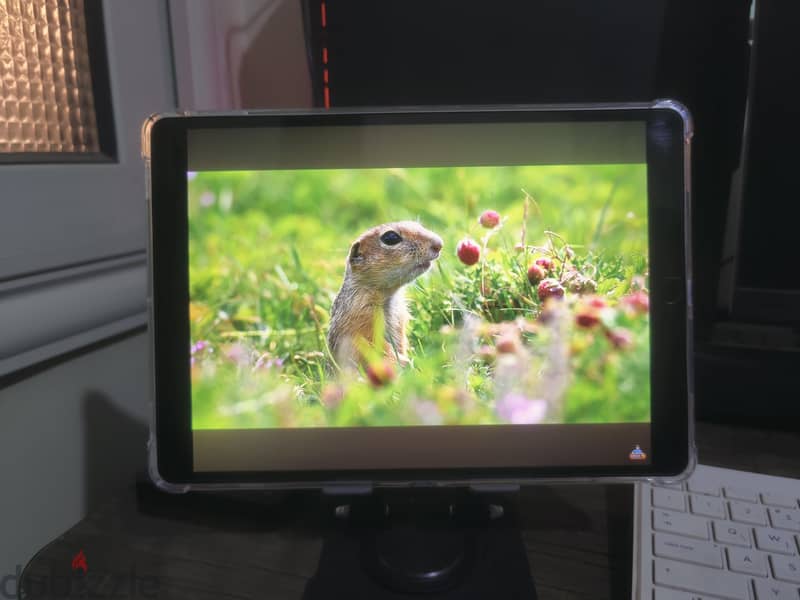 ipad pro 10.5 8
