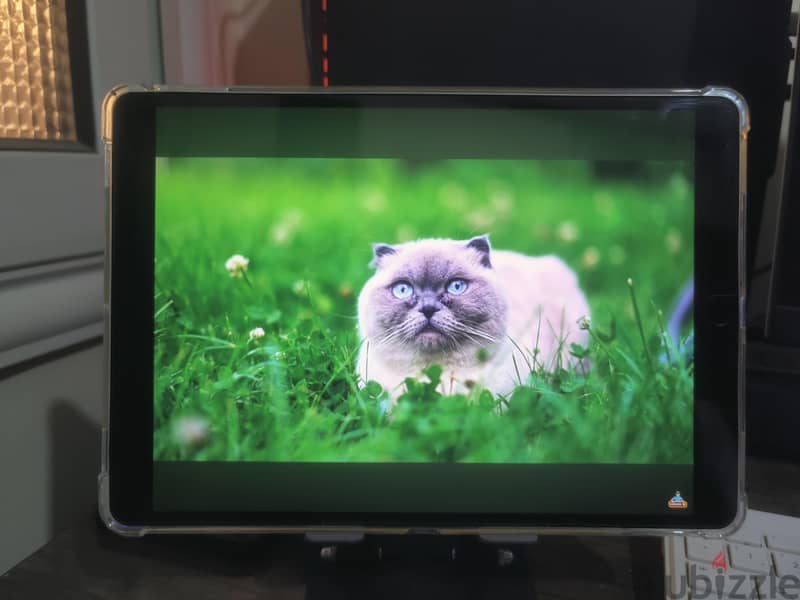 ipad pro 10.5 11