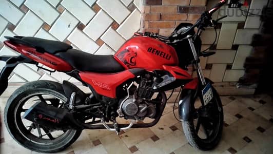 Benelli vlr 2021