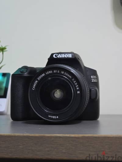 Canon 250D