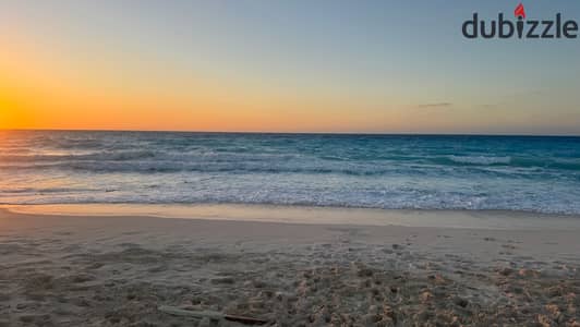 The most beautiful memories your family will make this year in the North Coast 🏖️