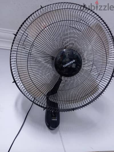 زهراء اكتوبر الجديده