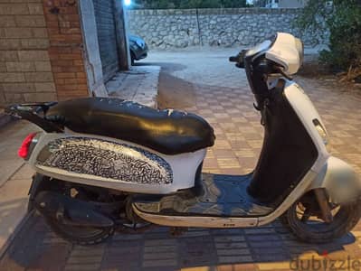 جيزه الهرم