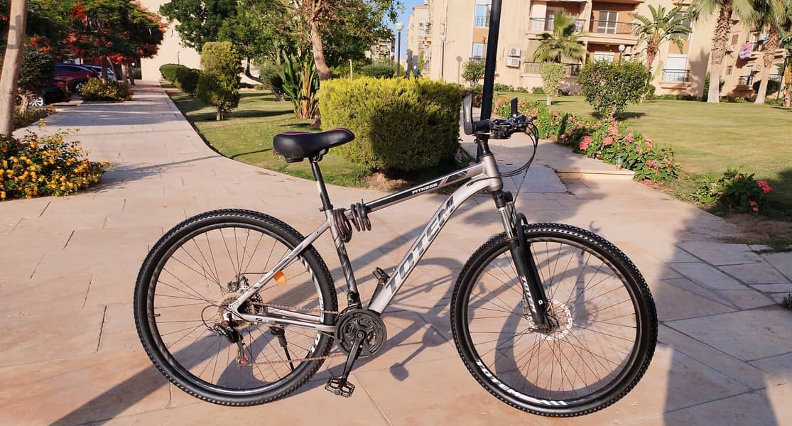 Totem hybrid bicycle latest version 1