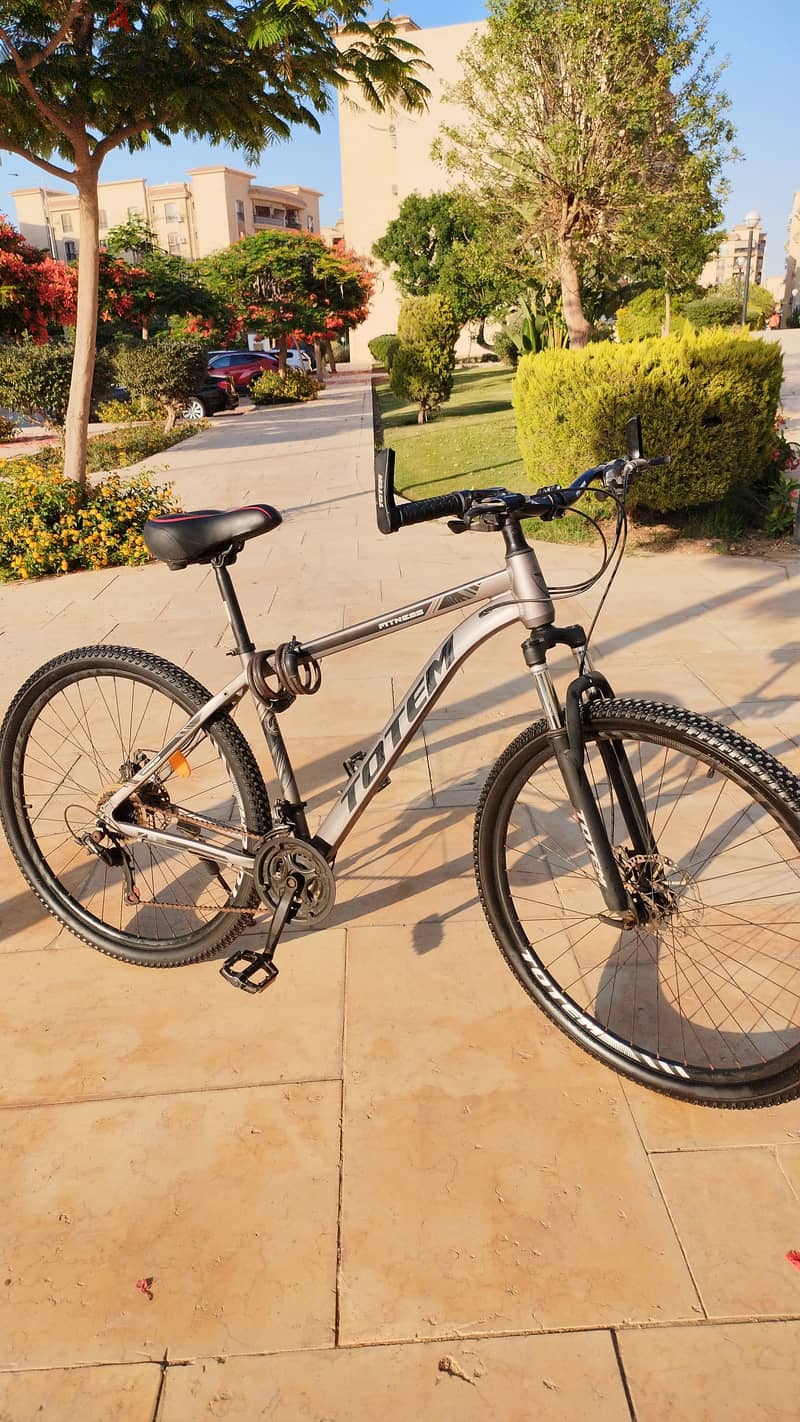 Totem hybrid bicycle latest version 2