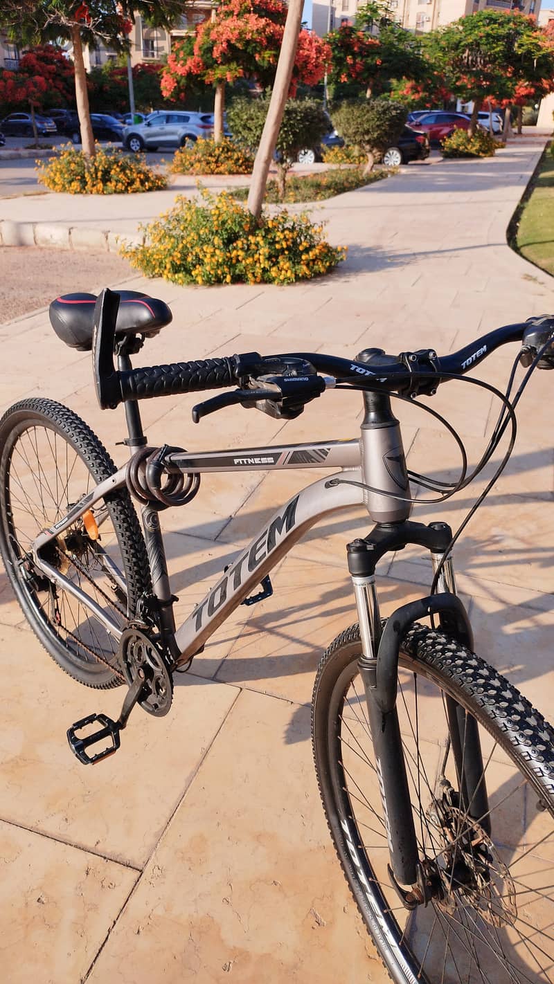 Totem hybrid bicycle latest version 3