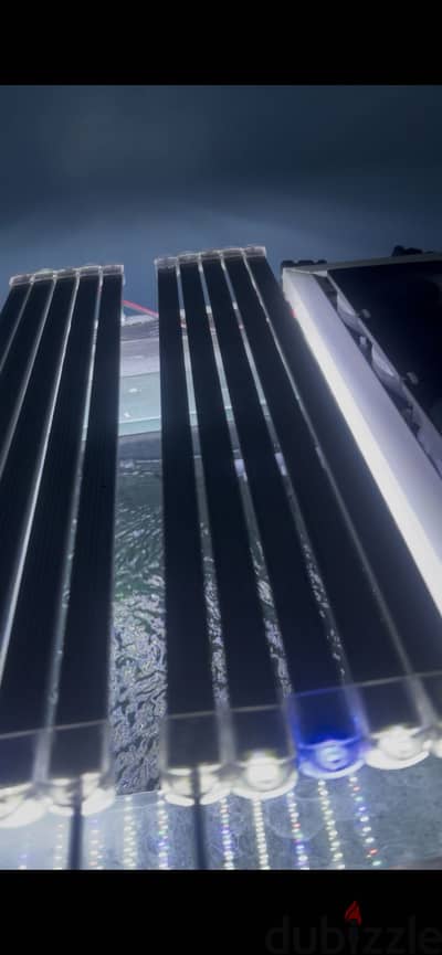 Premium aquarium | حوض سمك جديد