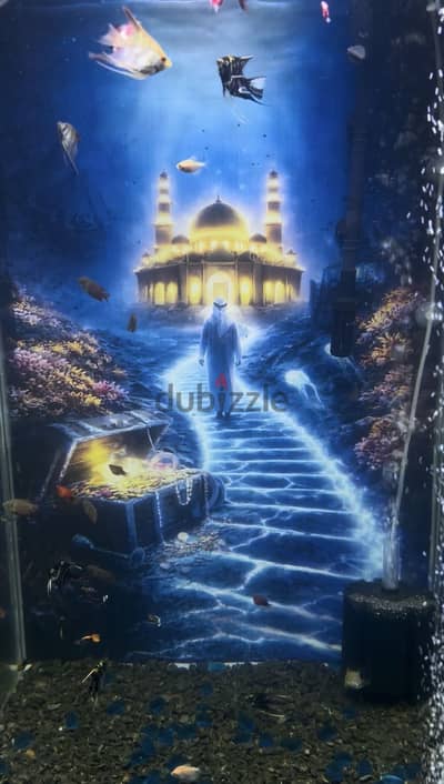 Premium aquarium | حوض سمك جديد