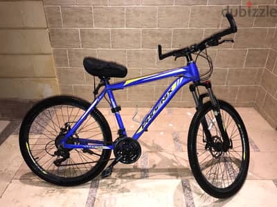 Phoenix Raider Mountain Bike