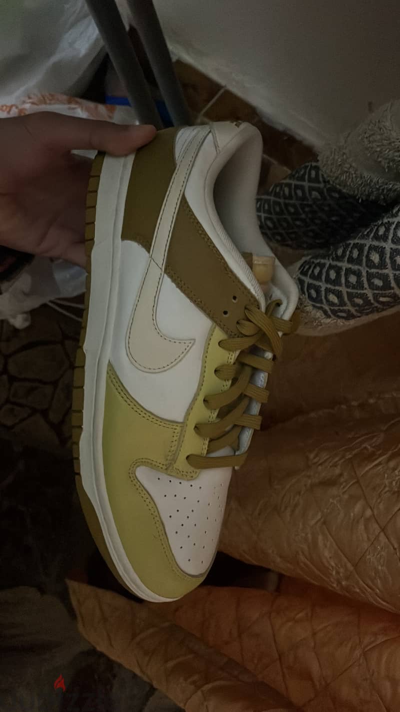 Nike dunk low retro 1