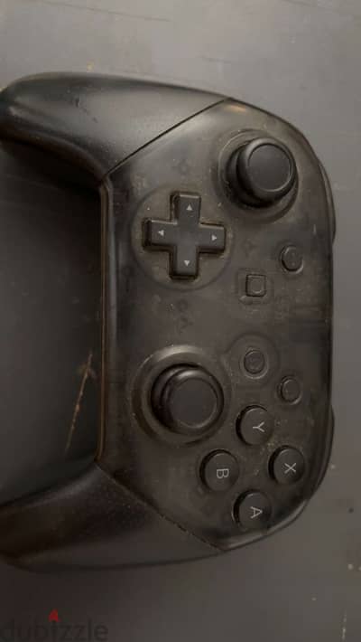 Nintendo switch pro controller