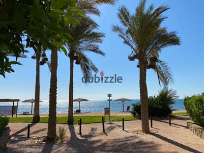 فيو علي البحر شاليه غرفتين للبيع في العين السخنة جاهز للمعاينه بخصم 30 % شغالة فعليًا والإيجارات بدأت بالفعل استلام خلال 6 شهور
