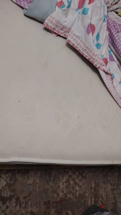 مرتبه طبيه