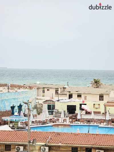 شقه للبيع بالإسكندرية العجمي شطي النخيل ٦اكتوبر الكيلو ٢١ اسكندرية مطروح