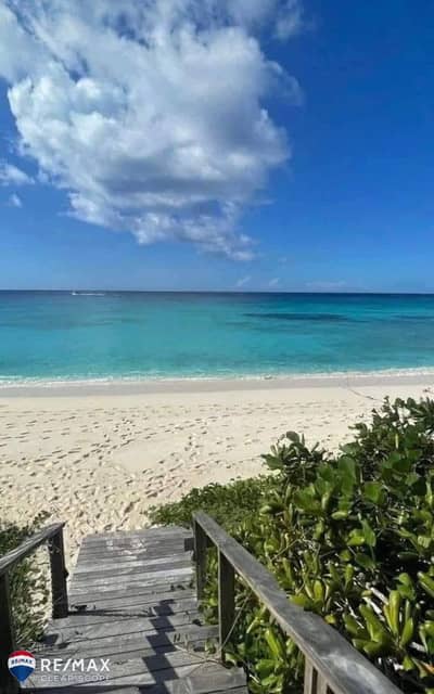 with lowest price in seashell with fully finished