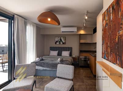Luxurious Furnished Apartment for rent in Villette