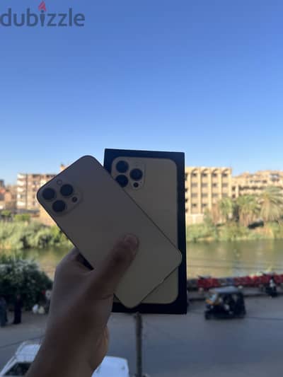 iPhone 13 Pro Max