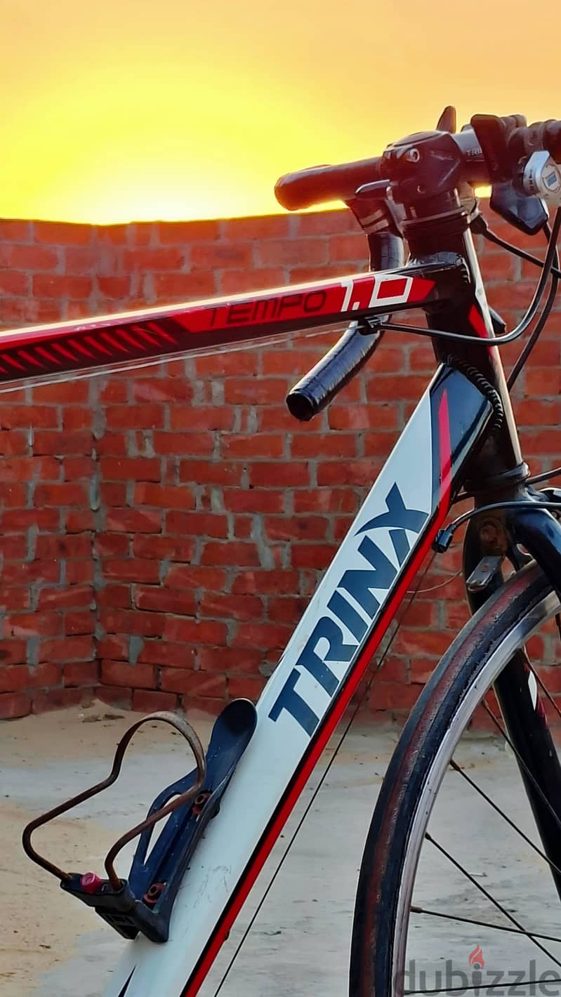 trinx tempo 0.1 5