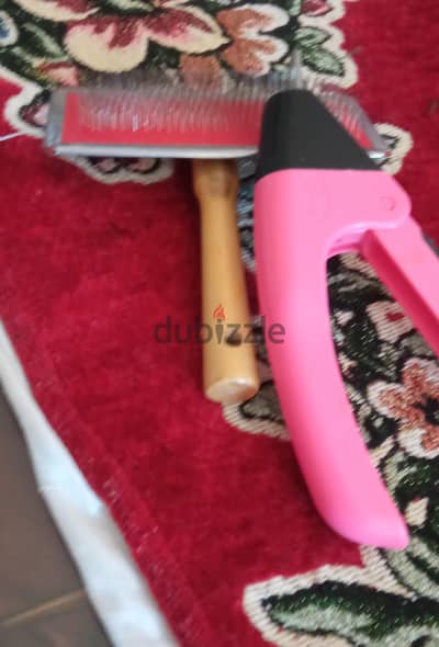 اكسسوار قطط