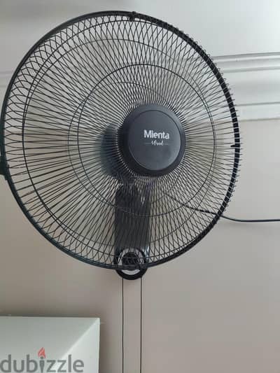 Wall Fan - Mienta Wind Wall Fan