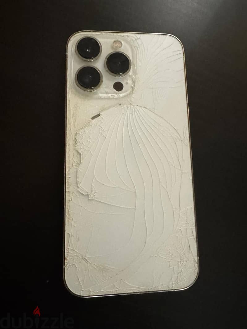 Apple - iPhone 13 Pro 1