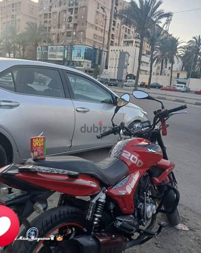 فيجوري