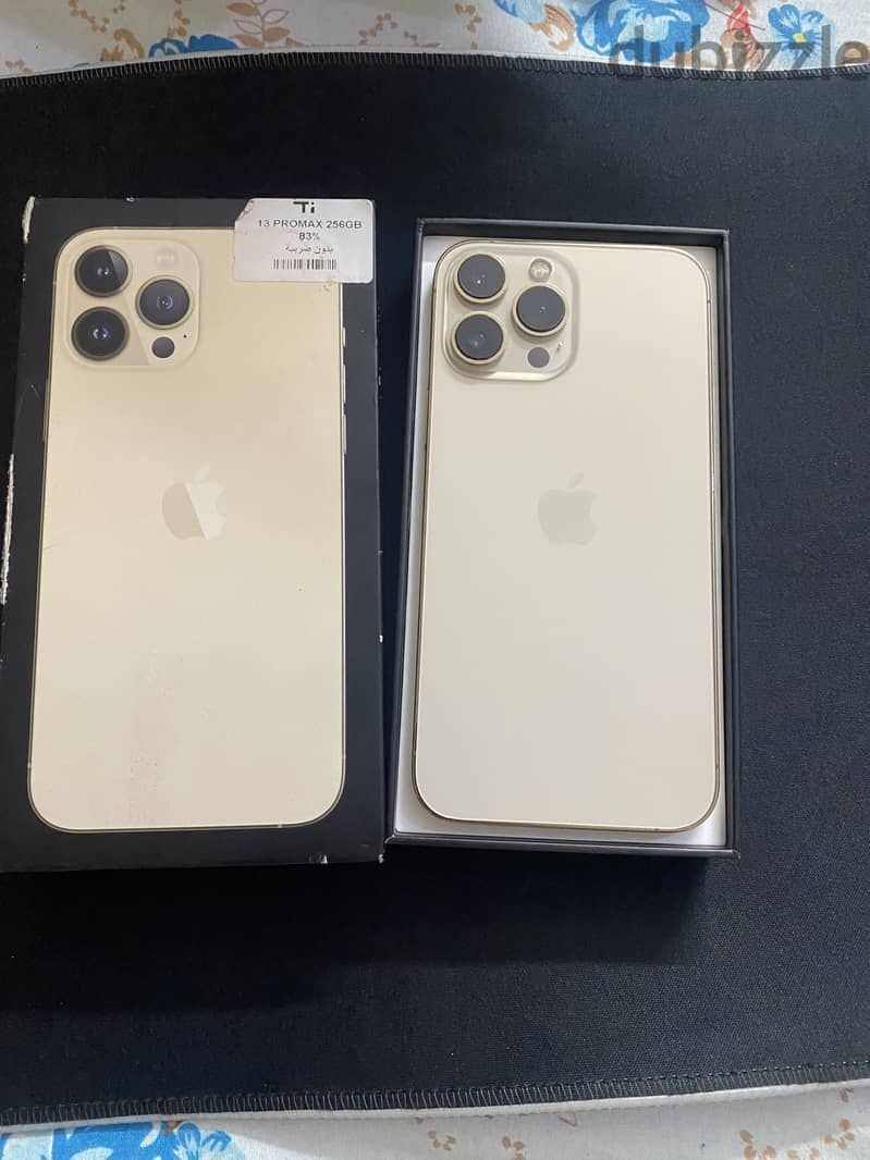 Apple - iPhone 13 Pro Max 1