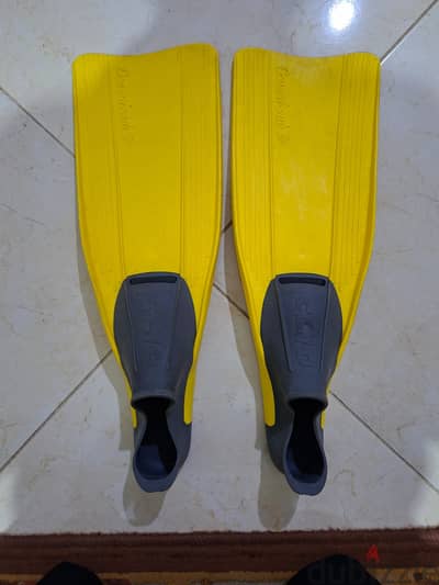 Rondine Clio Cressi-sub