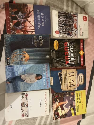 French Literature & Learning Books Collection | 8 Books