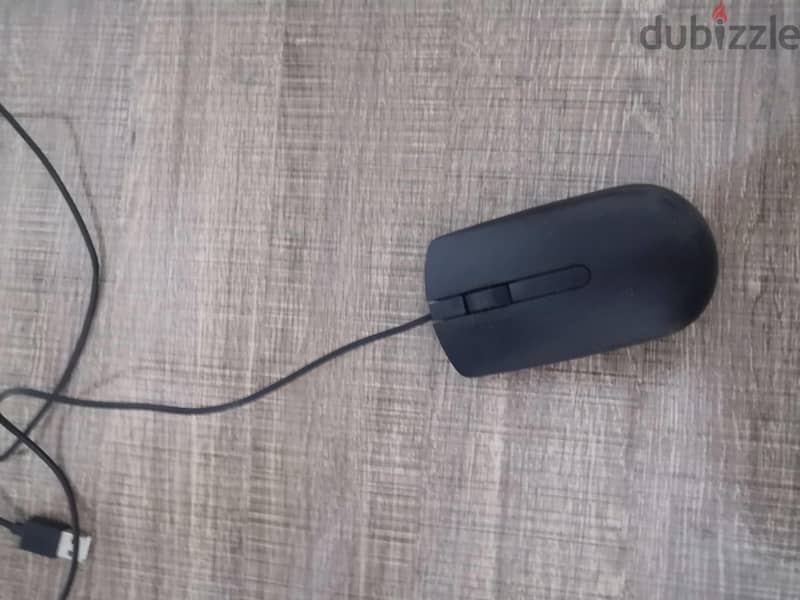mouse MS116 DELL 1
