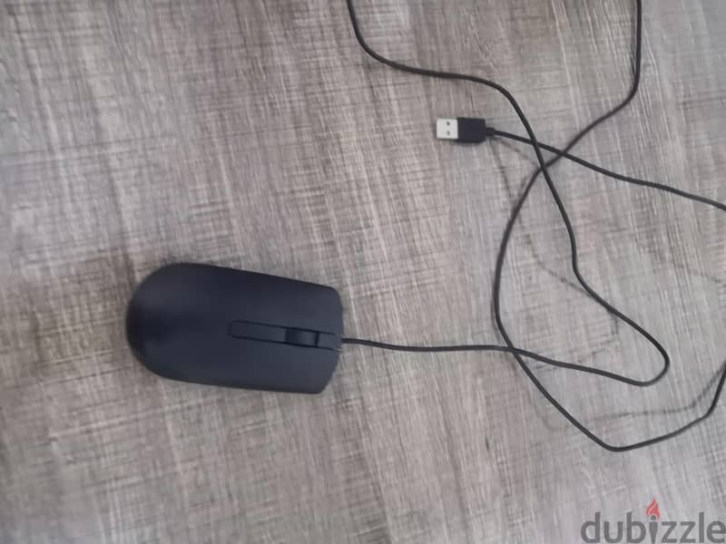 mouse MS116 DELL 2