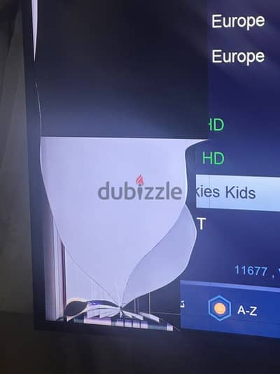 Samsung Curve 55 inch